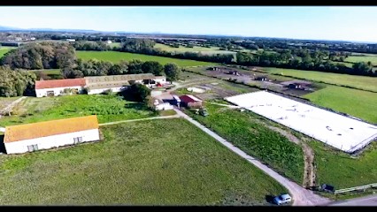 Ecurie Lynella, Pension pour Chevaux à Saint-Martin-de-Crau