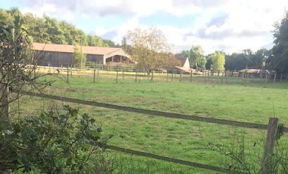 Les Ecuries De La Roche Turpin, Pension pour Chevaux à Fontenay-lès-Briis