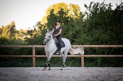 Stalls Saint Georges, Centre Equestres à Lambesc