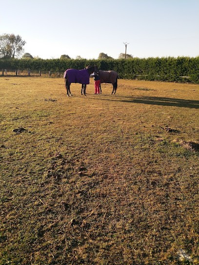Ecurie Louis Baudron Rouges Terres, Centre Equestres à Saint-Léonard-des-Parcs