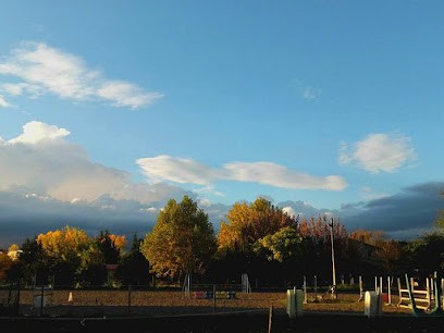 Aux Ecuries D'Aiguillon, Centre Equestres à Villelaure