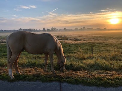 Ecurie du mascaret, Pension pour Chevaux à Céaux