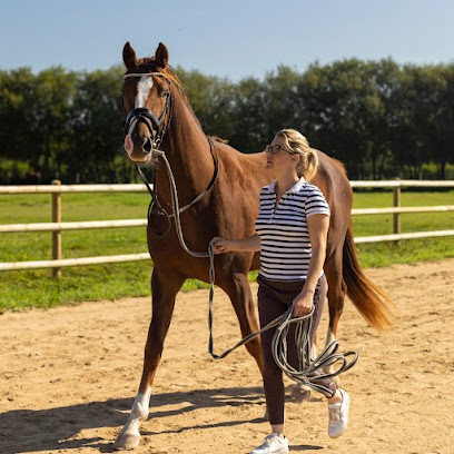 Écurie Best | Alexandra Dillière | Sébastien Tribourdeau, Centre Equestres à Mulsanne