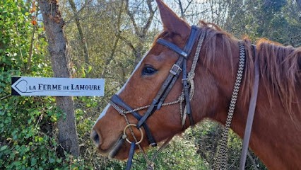 Horse Farm De Lamoure, Centre Equestres à Villebazy