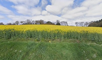 Ecurie Le Biniguer, Centre Equestres à Plaintel