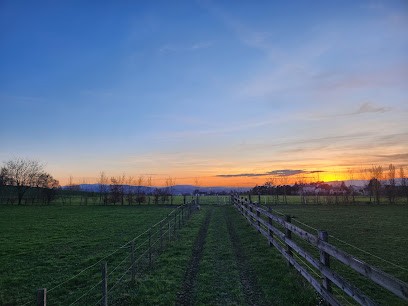 Ecurie Des Hauts De Cornavan, Centre Equestres à Communay