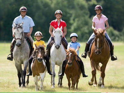 Epona Croissy Beaubourg Equitation, Centre Equestres à Croissy-Beaubourg