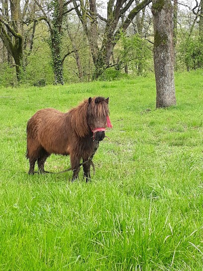 Equestrian Center De Sistels, Centre Equestres à Sistels