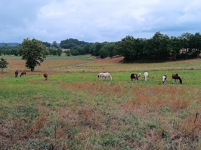 GAEC DE PEYRELEVADE, Centre Equestres à Baladou