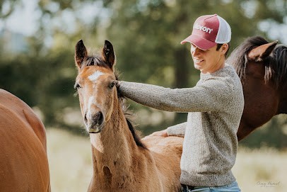 Haras du Bois de Bretel, Pension Elevage pour chevaux, Pension pour Chevaux à Couvains