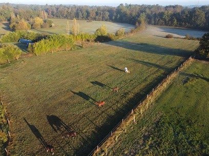 Aux Petites Pourcauds, Pension pour Chevaux à Villefranche-de-Lonchat