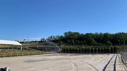Ecuries Pontavy, Centre Equestres à Veyre-Monton
