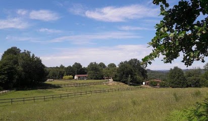 Écurie Rémy Anne, Pension pour Chevaux à Saint-Just-le-Martel