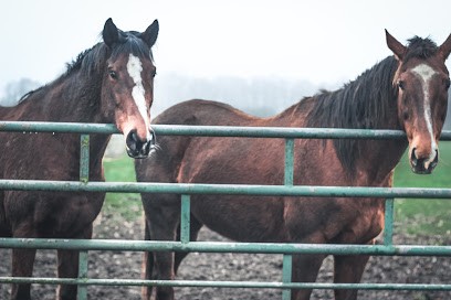 Pension Pour Chevaux La Prairie Des Rosières, Pension pour Chevaux à Saint-Clair-sur-Epte