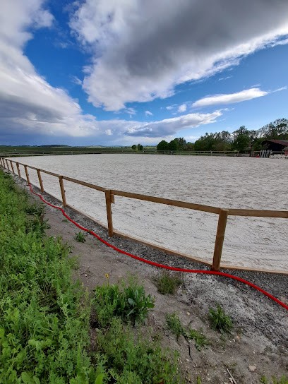 Ecurie Cavaleiro, Centre Equestres à Villeneuve-les-Cerfs