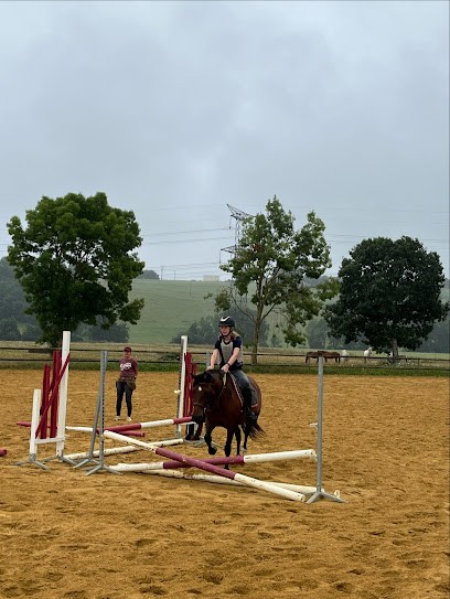 ECURIE DE BAN, Centre Equestres à Sarrecave