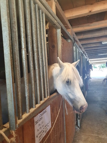 Cla' Haras, Centre Equestres à Tournay