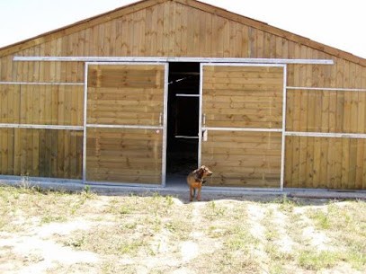 Ecuries Ethologiques De Jason, Pension pour Chevaux au Burgaud