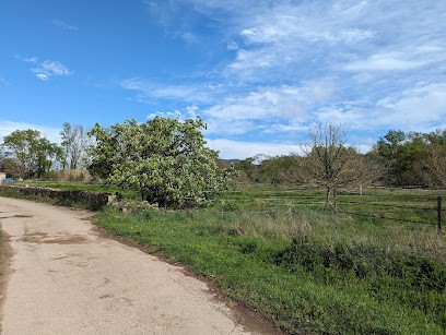 EquiZen, Pension pour Chevaux à Hérépian