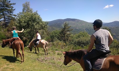 Ferme équestre Des Mourenes, Centre Equestres à Saint-André-de-Lancize