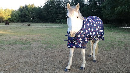 Écurie des champs brûlés, Centre Equestres à L'Hôpital-le-Mercier