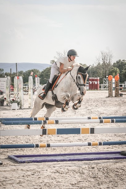 Écurie Des Fontenelles, Pension pour Chevaux à La Roche-Vanneau