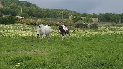 Ecurie Bastide de Castel, Pension pour Chevaux à Entrevennes
