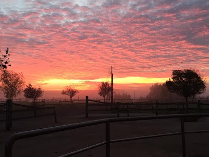 Ecuries Aux 4 Vans, Centre Equestres à Rurange-lès-Thionville