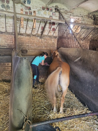 L'eperon De Ribemont, Centre Equestres à Ribemont