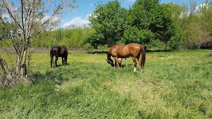 LES ÉCURIES DES 3 A, Centre Equestres à Maraussan
