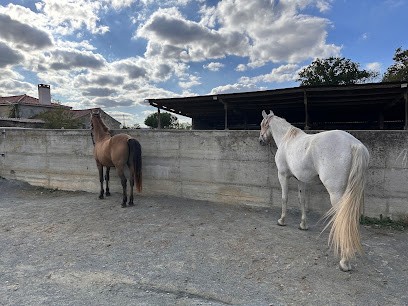 Equestrian Center Equifeel, Centre Equestres à Vouvant