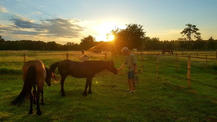 Domaine Les Bordes, Pension pour Chevaux à Goualade