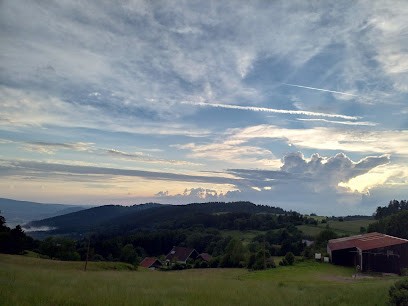 Les Sabots Verts, Pension pour Chevaux à Vagney