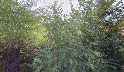Earl Les Ecuries Du Pinson, Centre Equestres à Toufflers