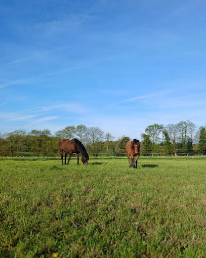 Au Bout Du Chemin - Fleurs De Pays, Pension Pour Chevaux à Val d'Oust