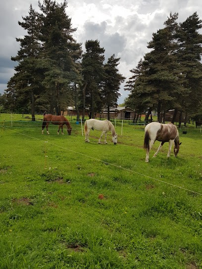 EQUI NATURE, Centre Equestres à Neussargues en Pinatelle