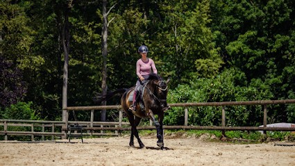 IBR Dressage Stable, Centre Equestres à Jouarre