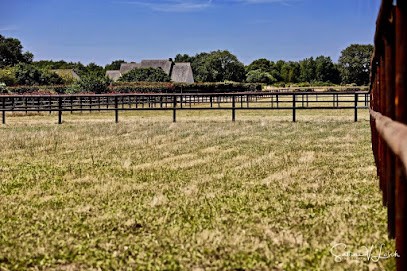 Pool Galop, Centre Equestres à Nort-sur-Erdre