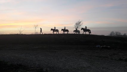 L Ecurie Des As, Centre Equestres à Fonsorbes