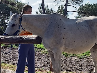 Equestrian Center De Pissos, Centre Equestres à Pissos