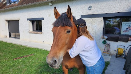 Attelage Du Bois Naison, Centre Equestres à Véron