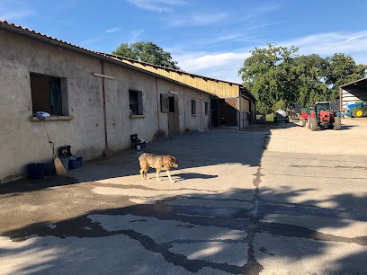 EARL LA PRAILLE - FERME CLAVEL - ÉCURIE DE PROPRIÉTAIRE, Pension pour Chevaux à Saint-Julien-en-Genevois