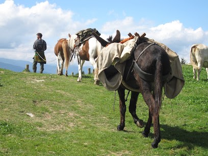 Caravanigó, Centre Equestres à Valmanya
