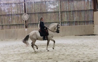 Domaine D Art Equestre, Centre Equestres à Vire Normandie