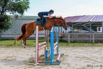 Vigeanel Eric, Centre Equestres à Vairé