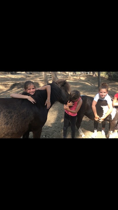 Le Paddock, Centre Equestres au Revest-les-Eaux