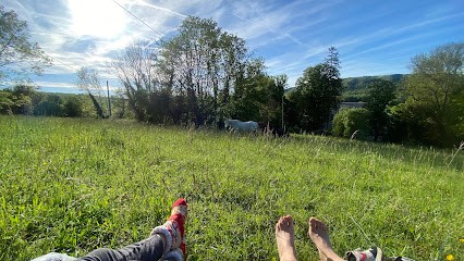 Haras du Lys, Pension pour Chevaux à Chavenay
