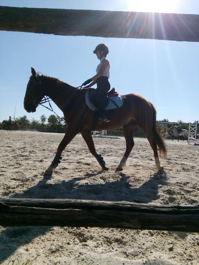 Equestrian Center De La Roche Aux Fées, Centre Equestres à Janzé