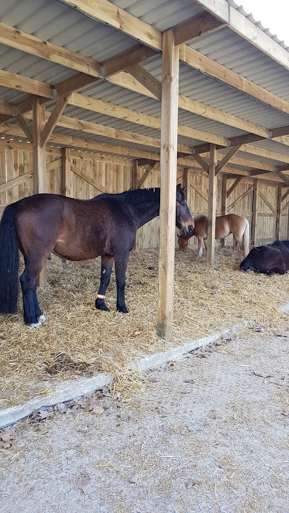 Des Platanes, Centre Equestres à Estrées-Saint-Denis