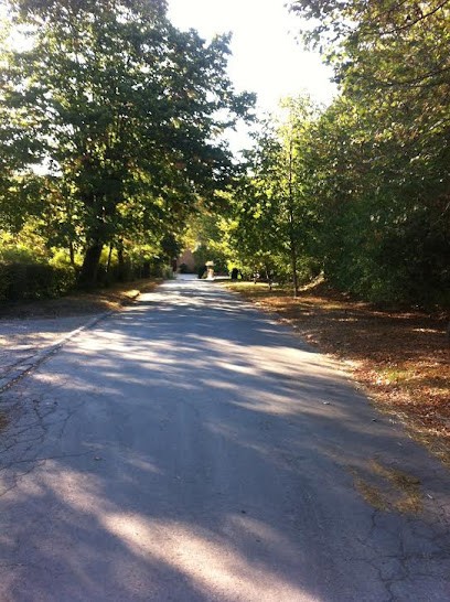 Jumenterie De Teynier, Ecuries Toulouse, Pension pour Chevaux à Vigoulet-Auzil